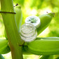 ALOE VERA GEL GLITZERKLEBER